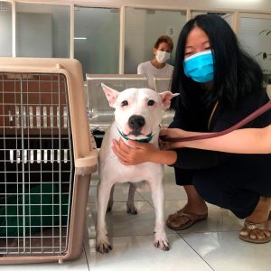SPC-02 | Saigon Pet Clinic